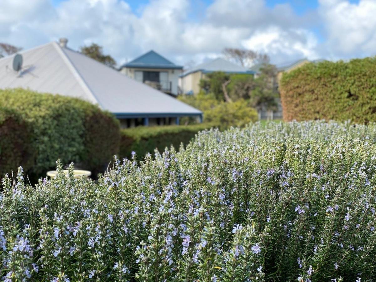 Surfpoint Resort Margaret River Exterior foto